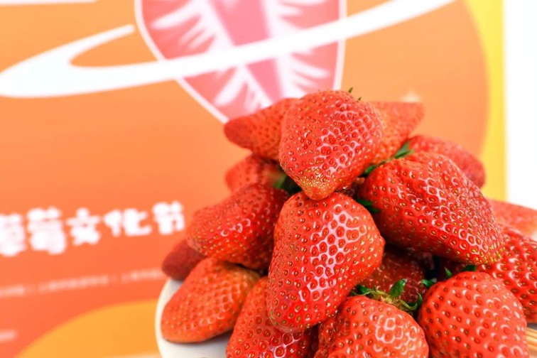 入选“国”字号!这几种青浦特色农产品,每一款都超赞~ 入选“国”字号!这几种青浦特色农产品,每一款都超赞~