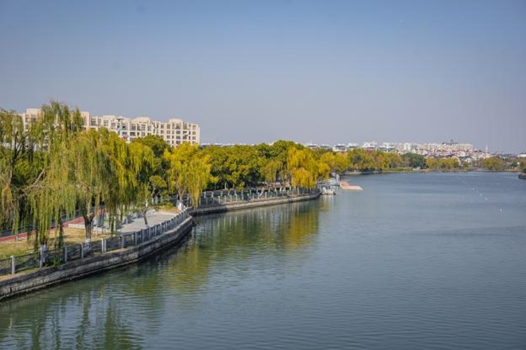 冬日“沪”水游，青浦新城：冬境绮梦，水韵流长