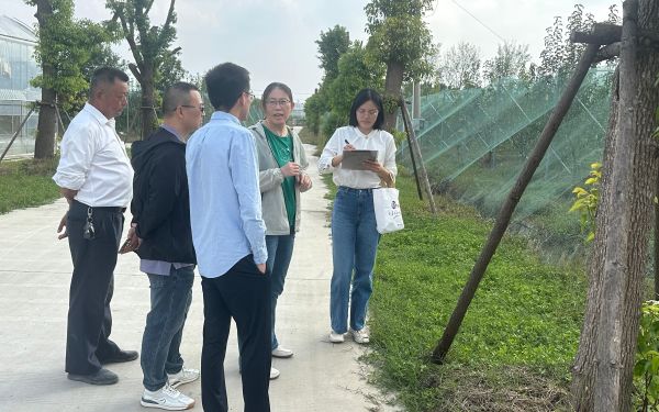 上海市“安全优质信得过果园” 复审现场检查工作已完成1.jpg