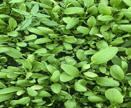 0905_091010_520.png 微信图片_20250905090912.png