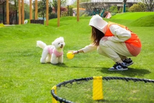 0513_083015635_235.jpg 2.jpg