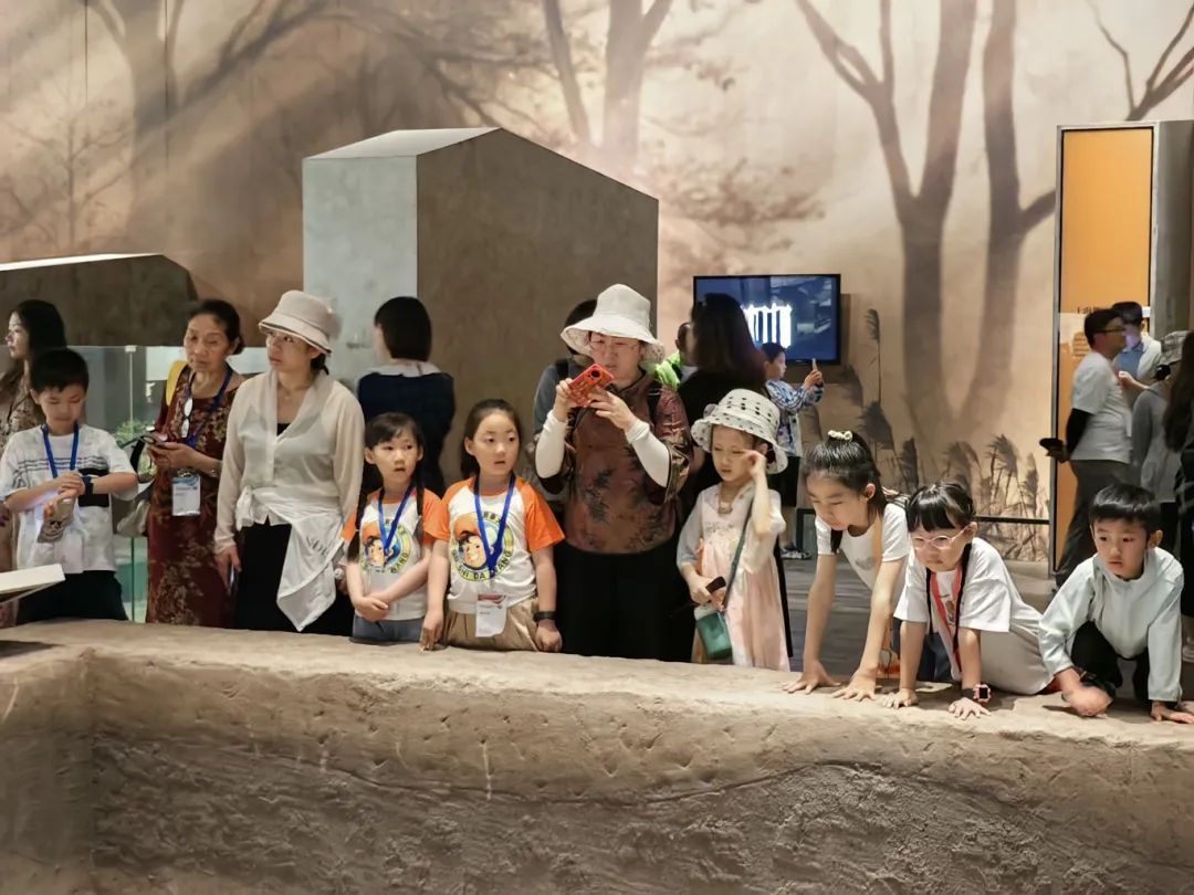 0809_161612_618.jpg 0809_161612_618.jpg