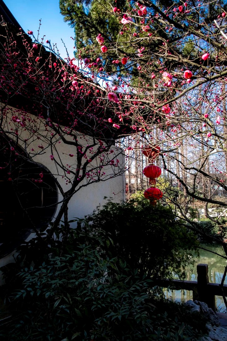 提一盏花灯入梦江南,来青浦用一场元宵灯海收官蛇年春节! 提一盏花灯入梦江南,来青浦用一场元宵灯海收官蛇年春节!