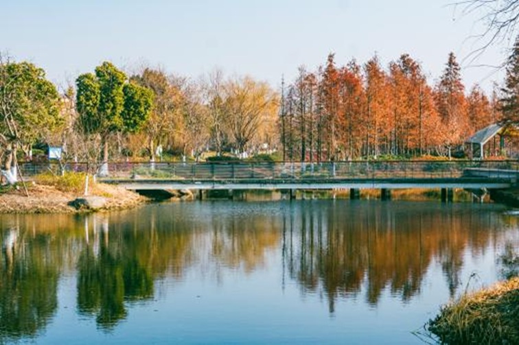 青浦河长:城中美湖,静谧安然 青浦河长:城中美湖,静谧安然