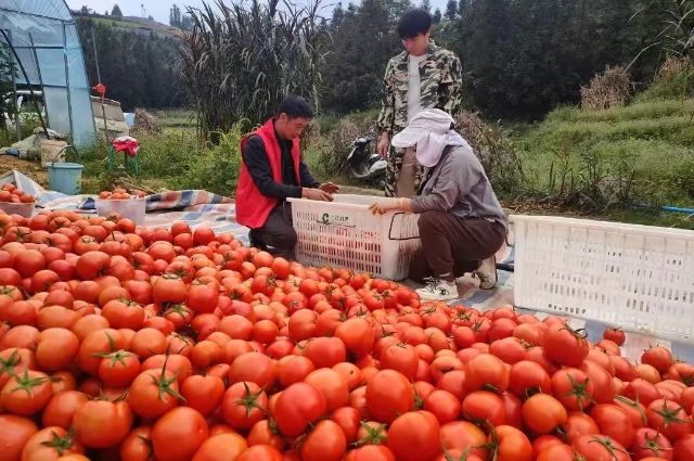 1008_145826_693.jpg 微信图片_20241008134413.jpg