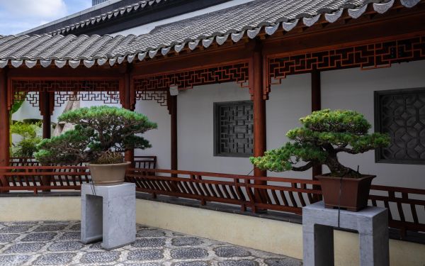 K54A4568.jpg K54A4568.jpg