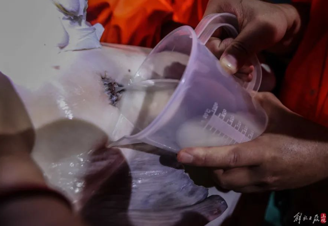 屏幕捕获_2024_10_10_09_26_34_567.png 屏幕捕获_2024_10_10_09_26_34_567.png