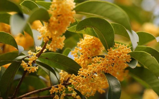 1021_130511_165.jpg 微信图片_20241021130353.jpg