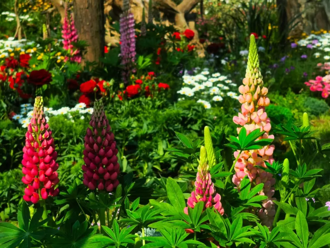 图片 10.png 图片 10.png