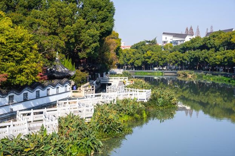冬日“沪”水游，青浦新城：冬境绮梦，水韵流长