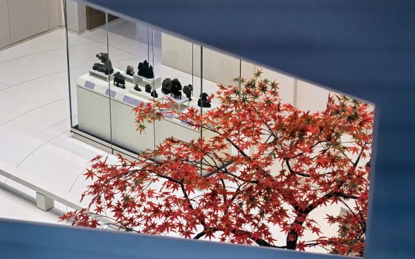 微信图片_20240905095309.jpg 微信图片_20240905095309.jpg