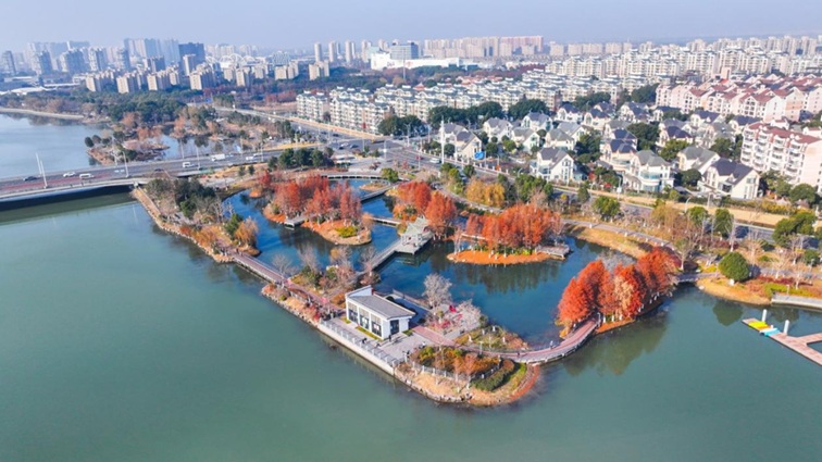 青浦河长:城中美湖,静谧安然 青浦河长:城中美湖,静谧安然