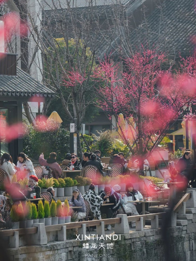 318青浦旅游日丨春日限定！青浦几大商场各出奇招，邀你和春光碰头！