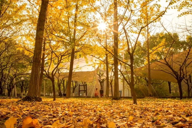 一二三四|青浦秋日疗愈系轻居,每一家都想住一遍…… 一二三四|青浦秋日疗愈系轻居,每一家都想住一遍……