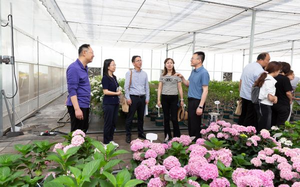 2025国家林草植物新品种DUS 测试技术研讨培训会在上海成功举办3.jpg