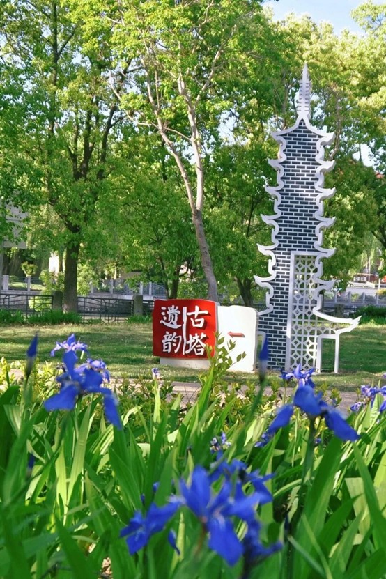 2026逛青浦环城水系公园指南