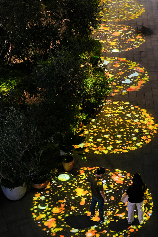 微信图片_2026-09-20_134531_940.png