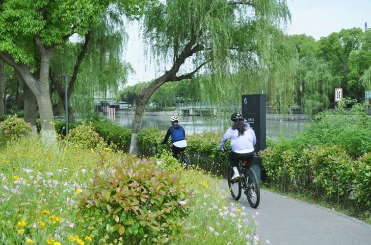 追风少年的春日漫游指南,带你邂逅青浦的N种风情! 追风少年的春日漫游指南,带你邂逅青浦的N种风情!