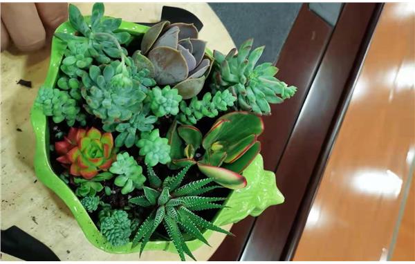 微信图片_20210527073752.jpg 微信图片_20210527073752.jpg