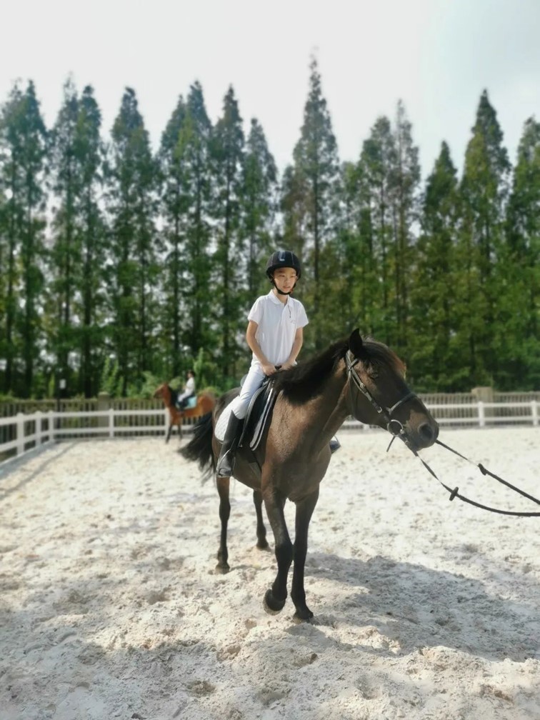 会·聚青浦|这条既City又Country的旅“行”,才是当代人的最爱! 会·聚青浦|这条既City又Country的旅“行”,才是当代人的最爱!