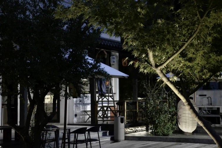 会·聚青浦|这些沪郊雅宿一到秋天就美翻,田园小院赏秋不扎堆 会·聚青浦|这些沪郊雅宿一到秋天就美翻,田园小院赏秋不扎堆