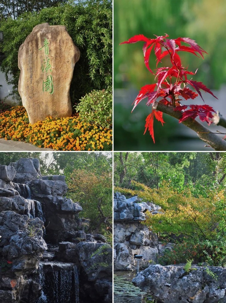 寒风乍起，秋意正浓，你想要的绝色秋光就藏在青浦！