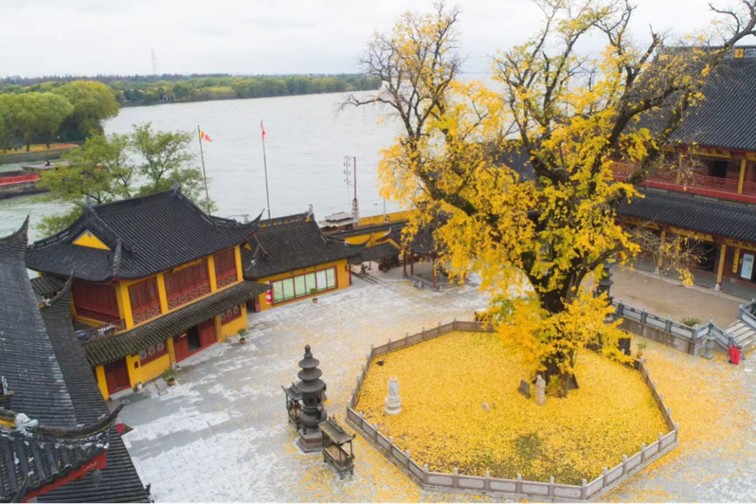 随着镜头中的涟漪,在水韵流转中感受青浦水美乡村 随着镜头中的涟漪,在水韵流转中感受青浦水美乡村