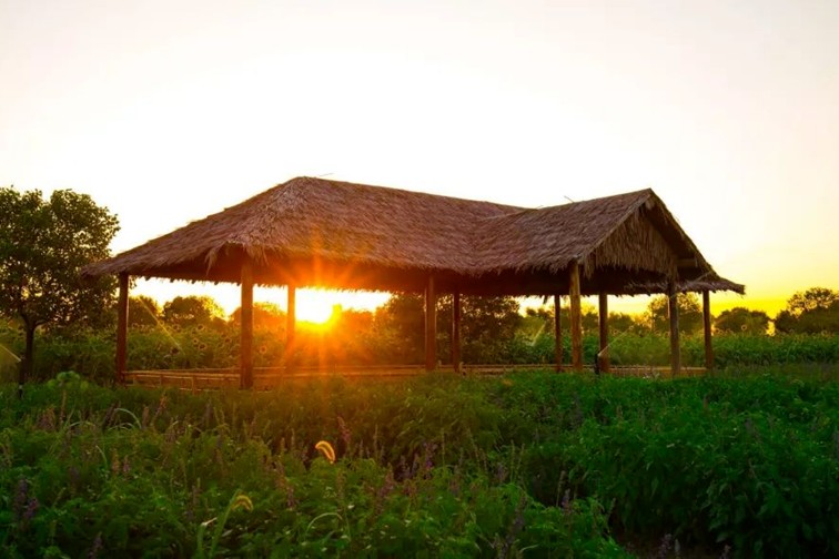 随着镜头中的涟漪,在水韵流转中感受青浦水美乡村 随着镜头中的涟漪,在水韵流转中感受青浦水美乡村