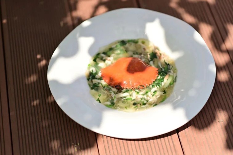 会·聚青浦|这些沪郊雅宿一到秋天就美翻,田园小院赏秋不扎堆 会·聚青浦|这些沪郊雅宿一到秋天就美翻,田园小院赏秋不扎堆