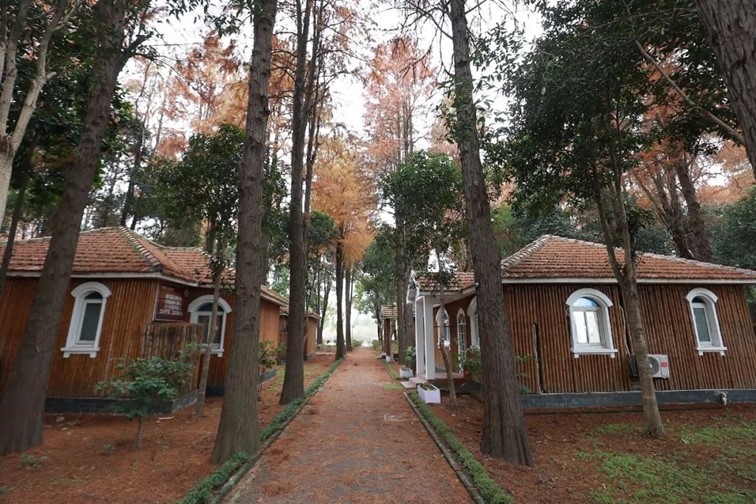 跟着半马游青浦,超燃!2024青浦新城半程马拉松赛即将开赛! 跟着半马游青浦,超燃!2024青浦新城半程马拉松赛即将开赛!