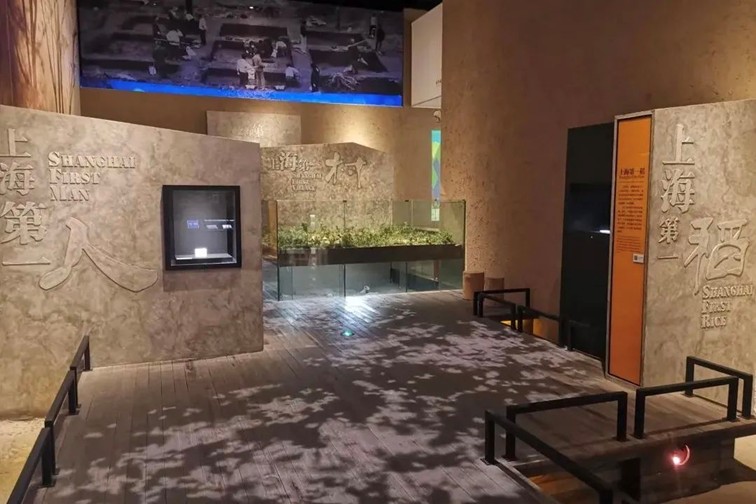 15000+停车位！2025年国庆长假青浦这些地方免费停车（附点位信息）→