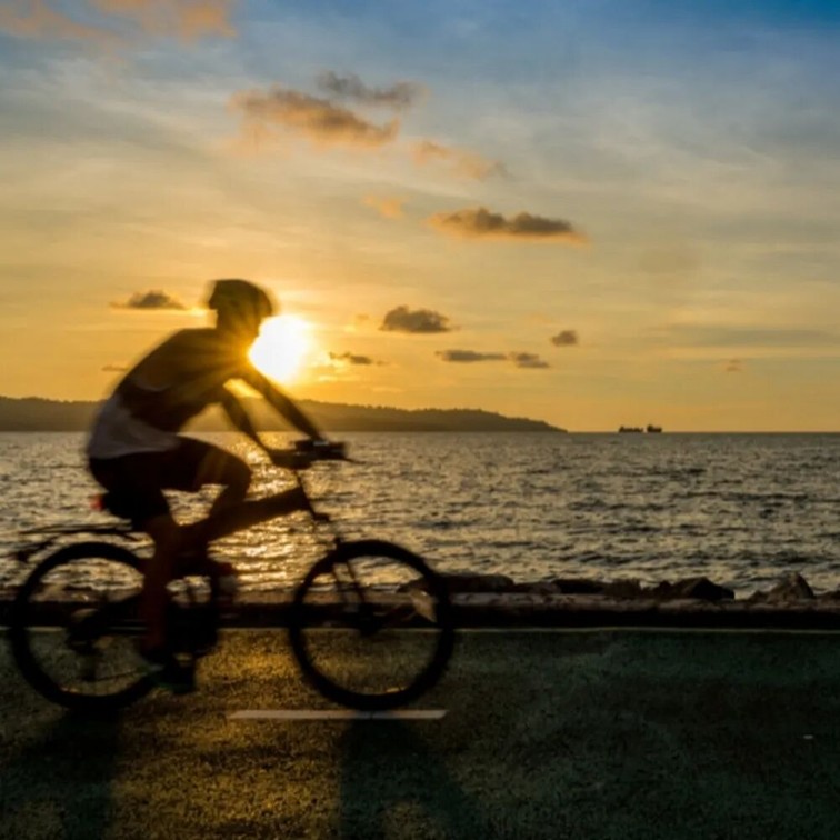 2026年春季来青浦泛艇+骑行，这两条路线包出片的~