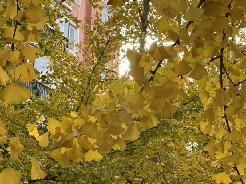 图片 4.png 图片 4.png