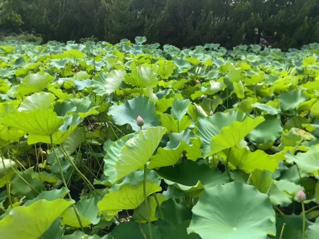 0722_121353_540.jpg 640 (10).jpg