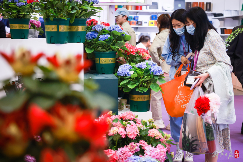 图为参观者在选购盆栽。.jpeg