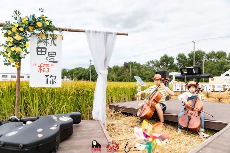 香满秋·一起游丨去青浦来场CountryWalk，遇见金秋盛景！