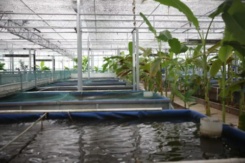 20240814110145773_71077852.png 20240814110145773_71077852.png