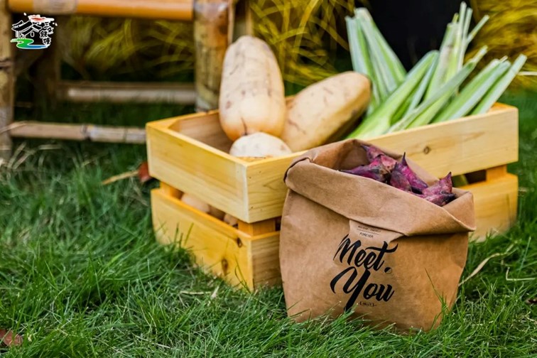 香满秋·一起游丨去青浦来场CountryWalk，遇见金秋盛景！