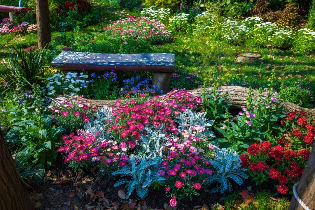 图片 2.png 图片 2.png