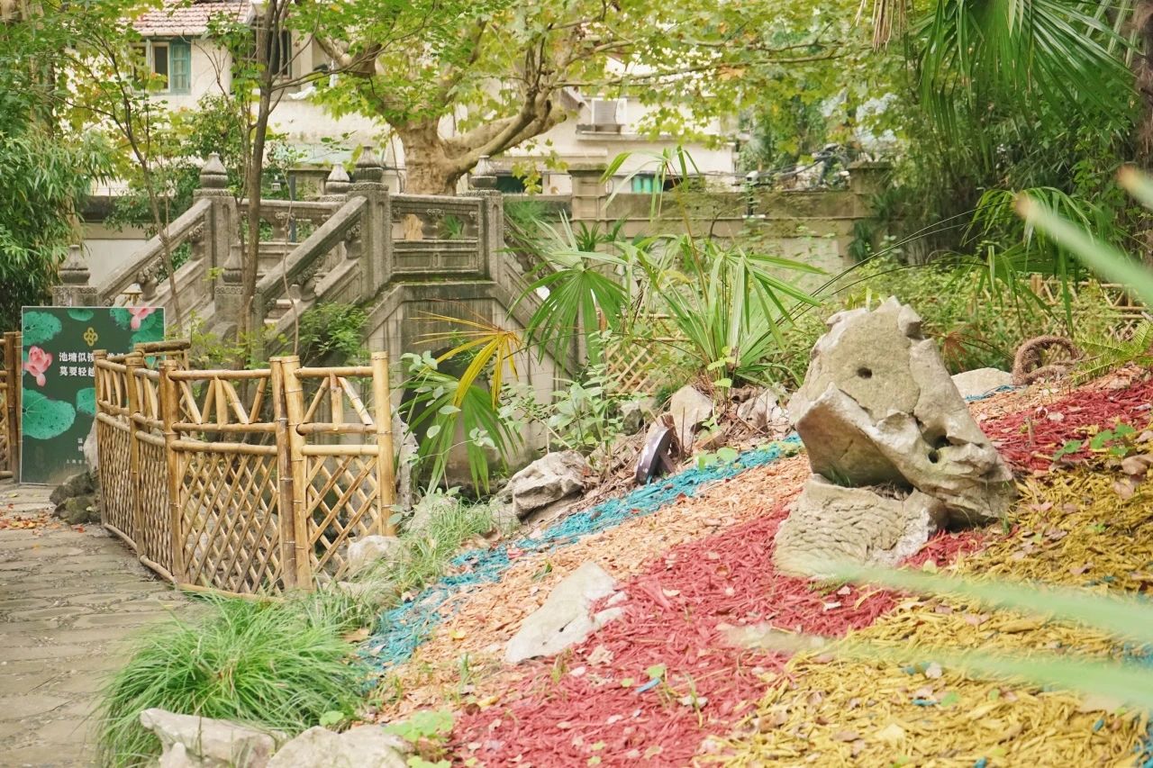 长宁这里藏着一个“秘密花园”,超级出片!4.jpg 长宁这里藏着一个“秘密花园”,超级出片!4.jpg