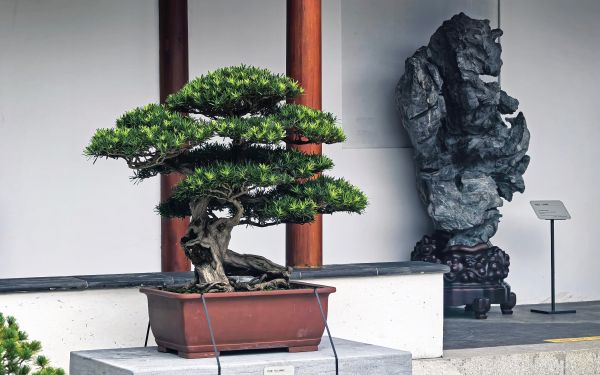 微信图片_20240905095243.jpg 微信图片_20240905095243.jpg