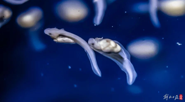 屏幕捕获_2024_10_10_09_24_48_982.png 屏幕捕获_2024_10_10_09_24_48_982.png