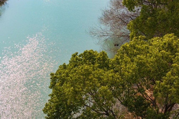 江南春景水一半，12处小流域绘青浦生态美域