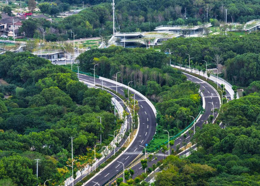 浦锦北路国庆通车