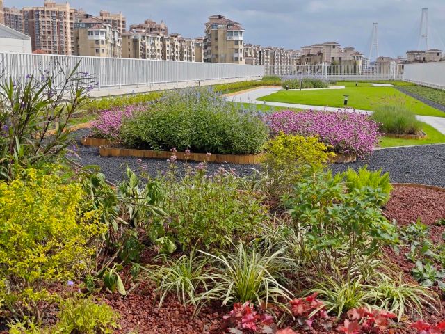 1119_122653_826.jpg 微信图片_20241119122624.jpg