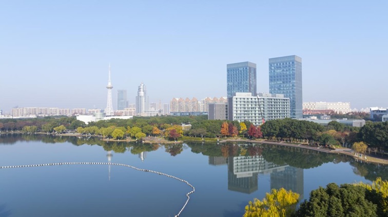 冬日“沪”水游，青浦新城：冬境绮梦，水韵流长