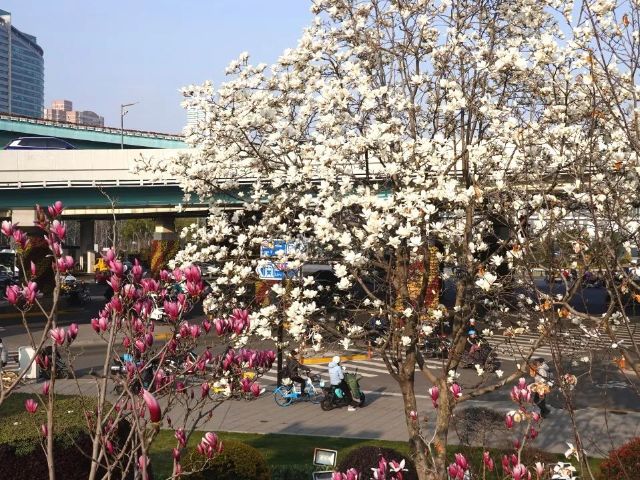 0812_141643_670.jpg 640 (25).jpg