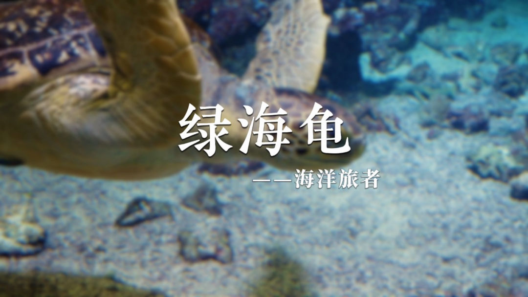 图14.png