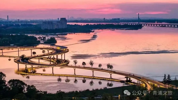 会·聚青浦|这条既City又Country的旅“行”,才是当代人的最爱! 会·聚青浦|这条既City又Country的旅“行”,才是当代人的最爱!