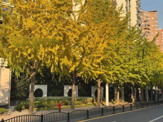 1204_104709_981.jpg 1.jpg